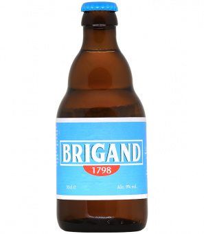 Ван Хонсебрук Кастил  Бриганд/Kasteel Brouwerij Vanhonsebrouck Kasteel Brigand 0,33л.*12