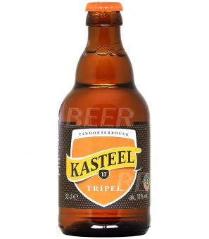 Ван Хонсебрук Кастил Трипель/Kasteel Brouwerij Vanhonsebrouck Tripel 0,33л.*24